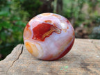 Polished Carnelian Agate Gemstone Galets x 24 From Madagascar