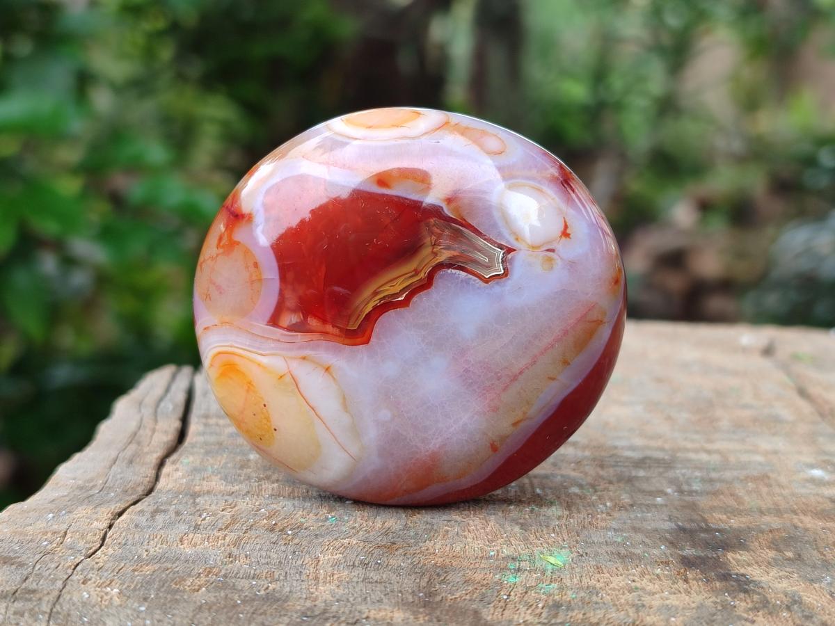 Polished Carnelian Agate Gemstone Galets x 24 From Madagascar