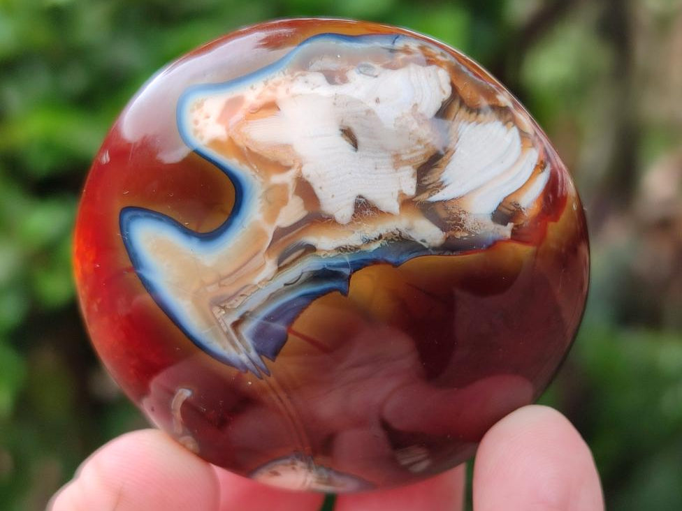 Polished Carnelian Agate Gemstone Galets x 24 From Madagascar