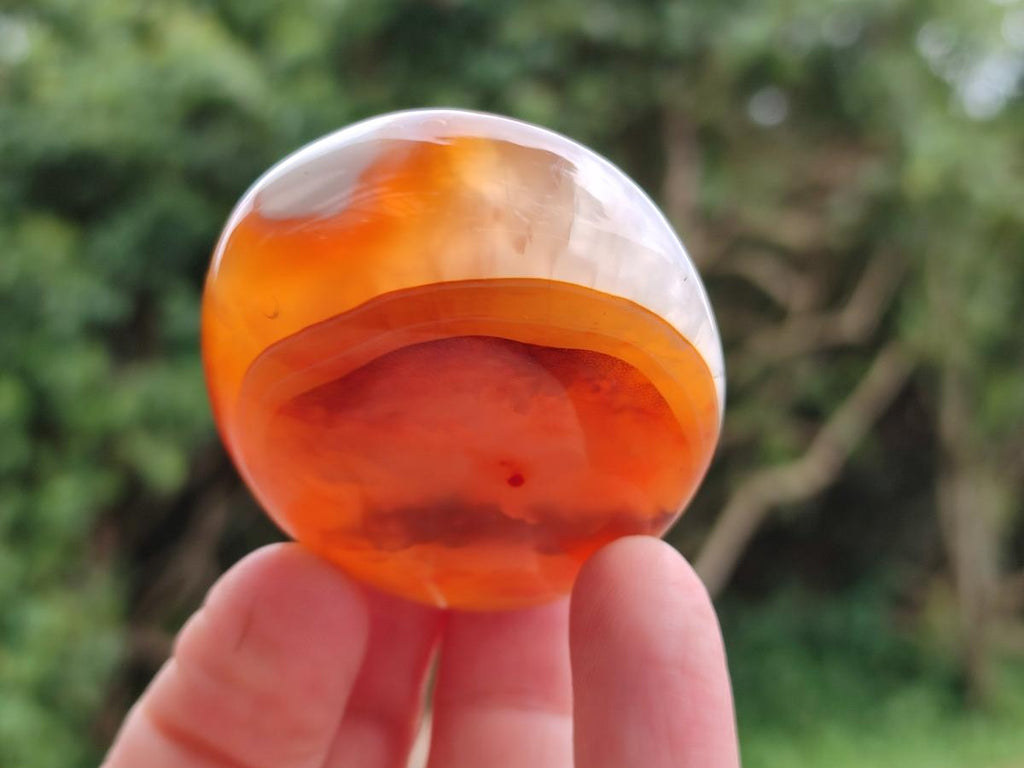 Polished Carnelian Agate Gemstone Galets x 24 From Madagascar