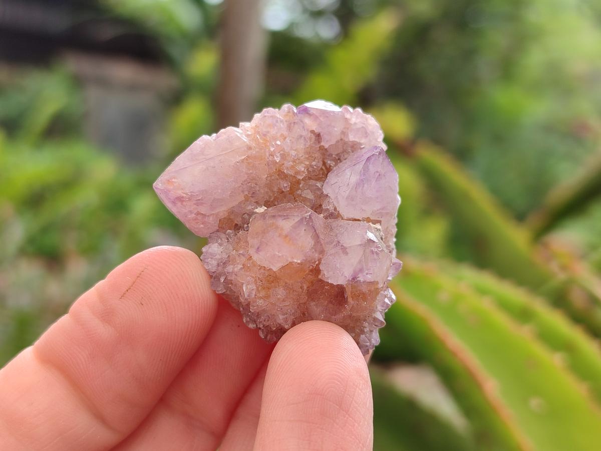 Natural Amethyst And Ametrine Spirit Clusters x 35 From Boekenhouthoek, South Africa