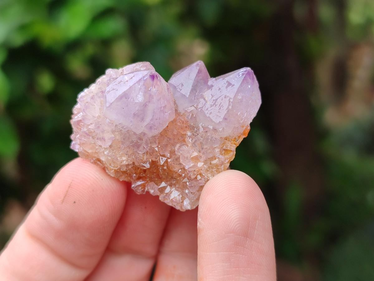 Natural Amethyst And Ametrine Spirit Clusters x 35 From Boekenhouthoek, South Africa
