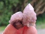 Natural Amethyst And Ametrine Spirit Clusters x 35 From Boekenhouthoek, South Africa