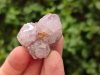 Natural Amethyst And Ametrine Spirit Clusters x 35 From Boekenhouthoek, South Africa