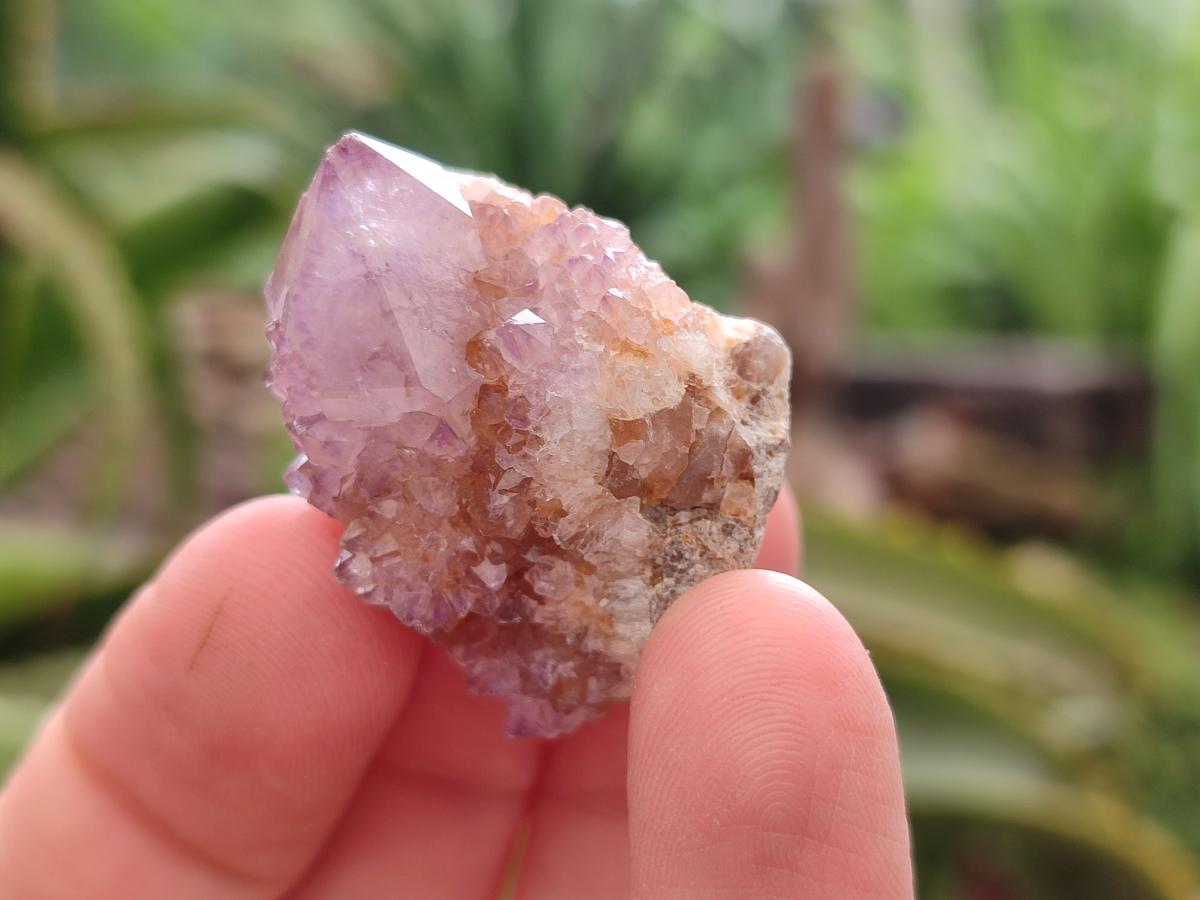 Natural Amethyst And Ametrine Spirit Clusters x 35 From Boekenhouthoek, South Africa