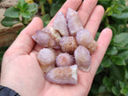 Natural Amethyst And Ametrine Spirit Clusters x 35 From Boekenhouthoek, South Africa