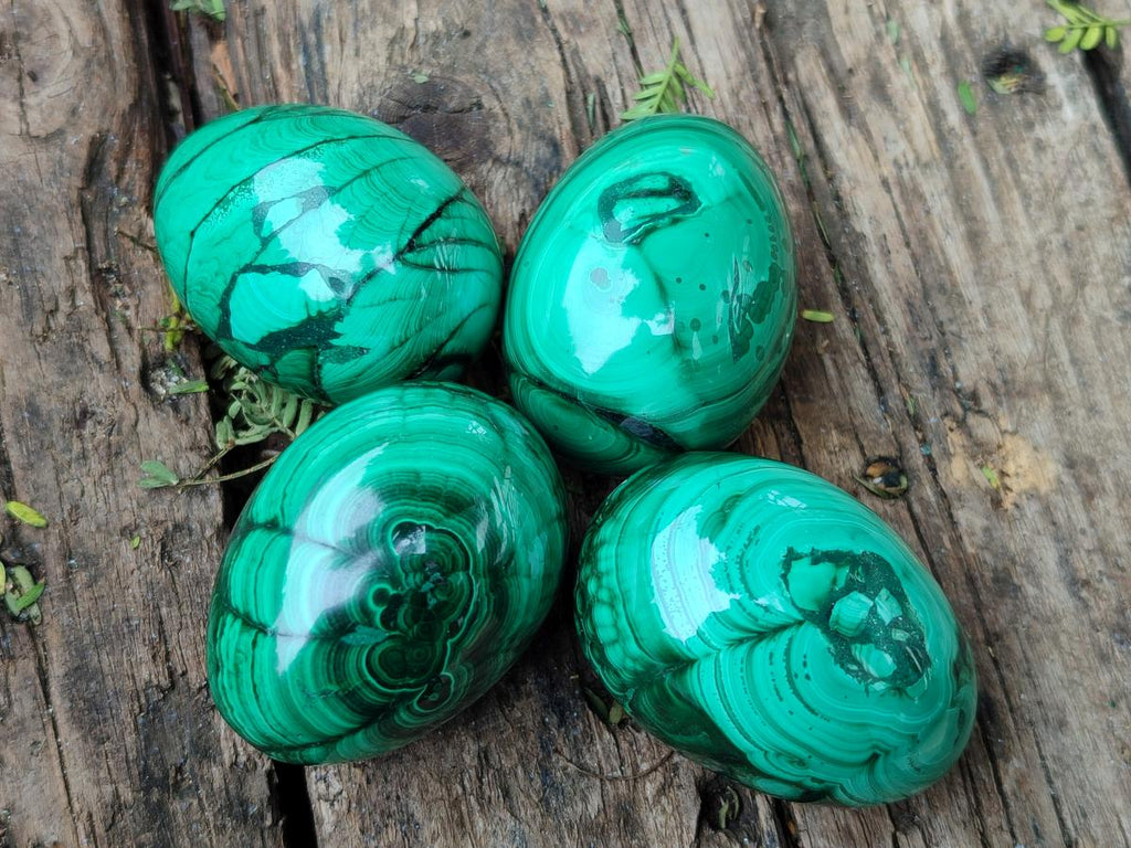 Polished Flower Banded Malachite Gemstone Eggs x 12 From Congo