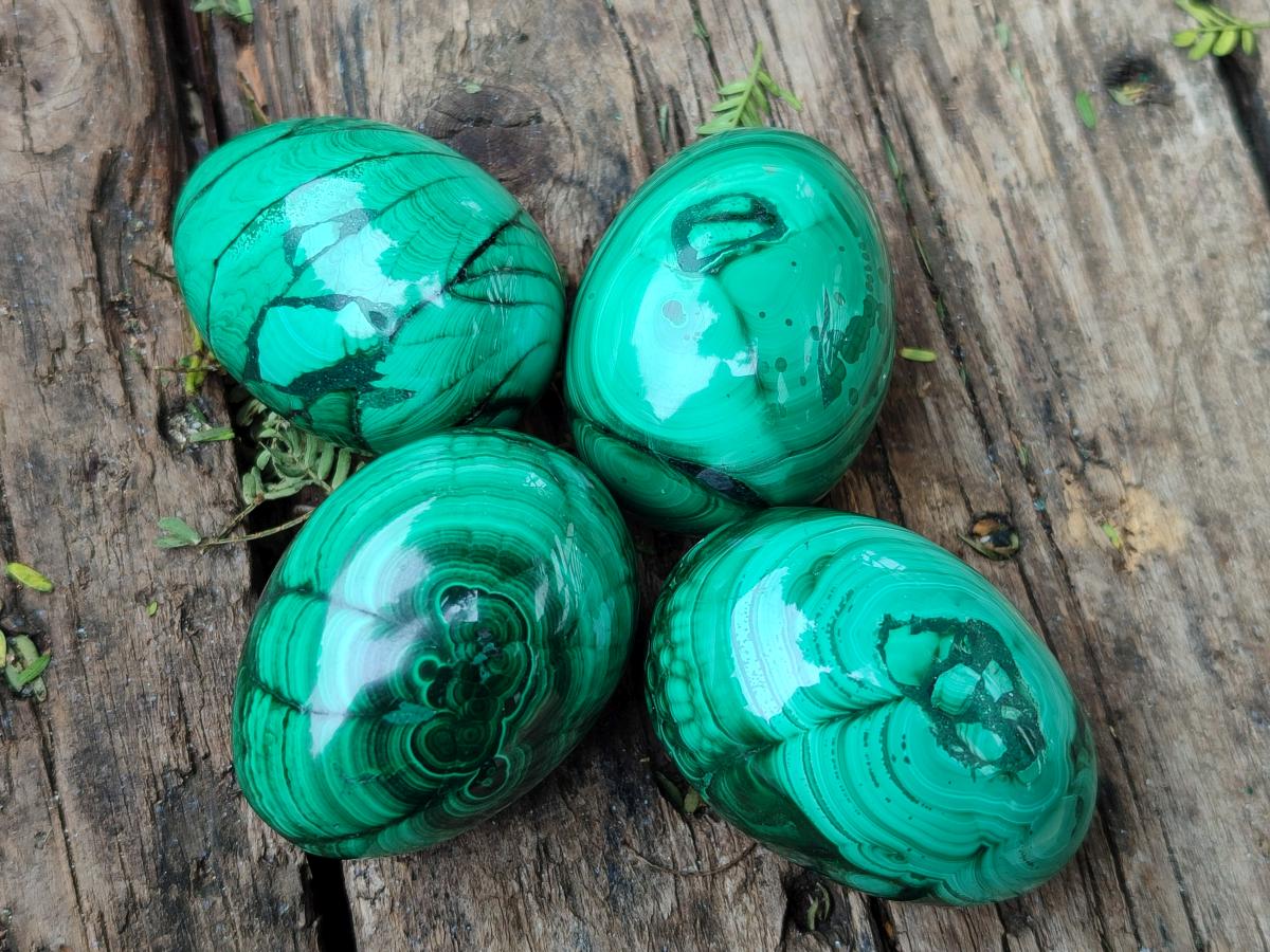 Polished Flower Banded Malachite Gemstone Eggs x 12 From Congo