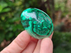 Polished Flower Banded Malachite Gemstone Eggs x 12 From Congo