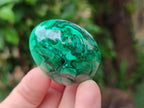 Polished Flower Banded Malachite Gemstone Eggs x 12 From Congo