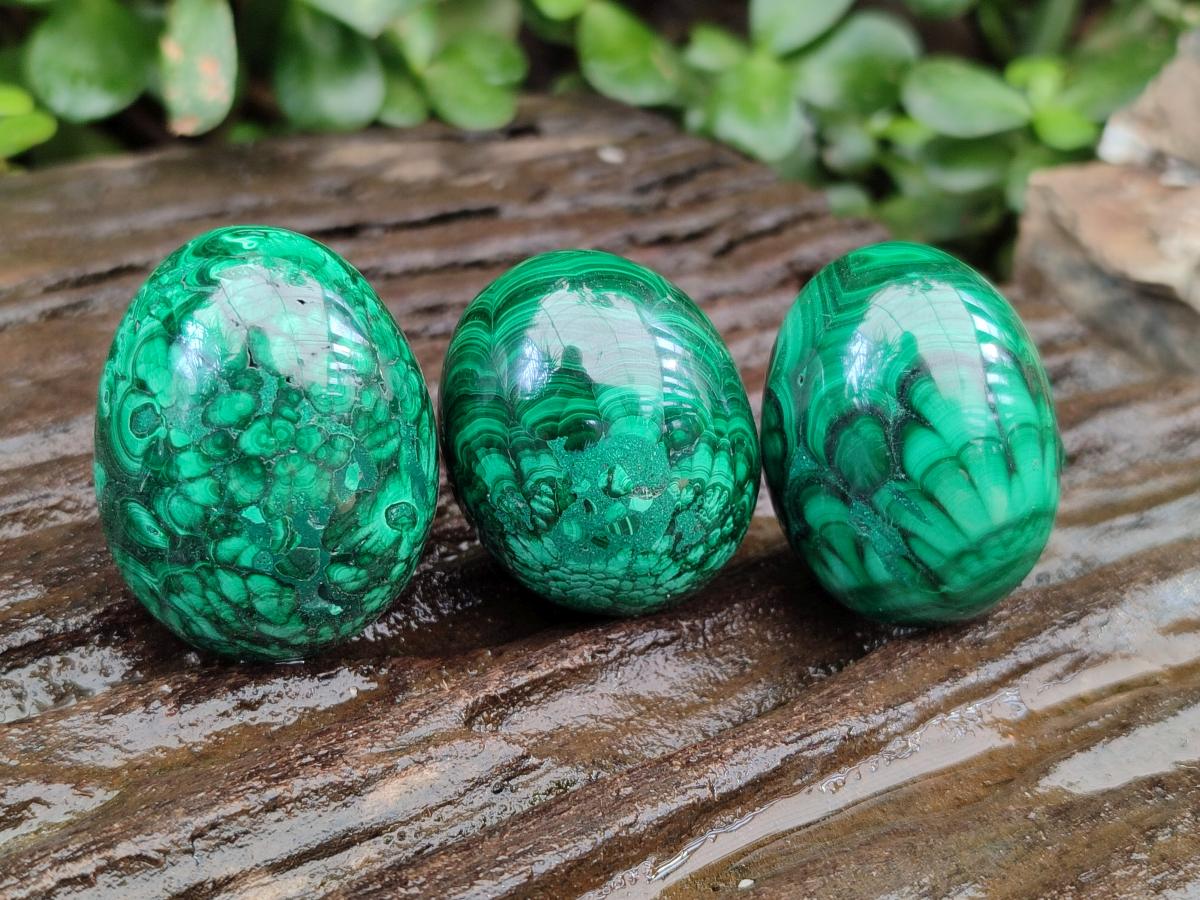 Polished Flower Banded Malachite Gemstone Eggs x 12 From Congo