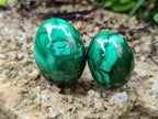 Polished Flower Banded Malachite Gemstone Eggs x 12 From Congo