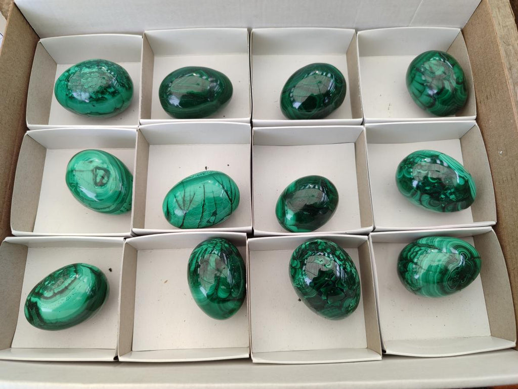 Polished Flower Banded Malachite Gemstone Eggs x 12 From Congo