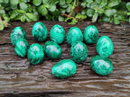 Polished Flower Banded Malachite Gemstone Eggs x 12 From Congo