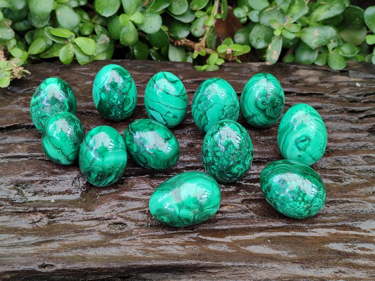 Polished Flower Banded Malachite Gemstone Eggs x 12 From Congo