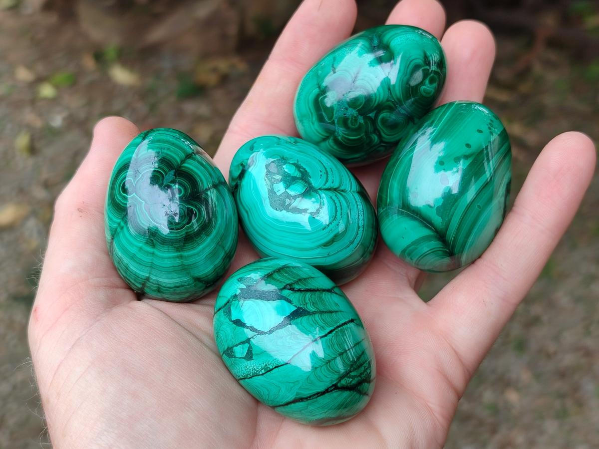 Polished Flower Banded Malachite Gemstone Eggs x 12 From Congo