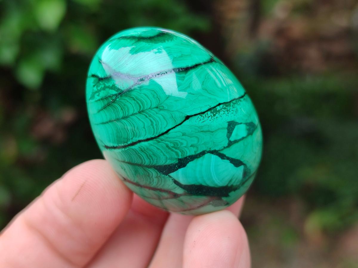 Polished Flower Banded Malachite Gemstone Eggs x 12 From Congo
