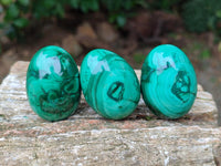 Polished Flower Banded Malachite Gemstone Eggs x 12 From Congo