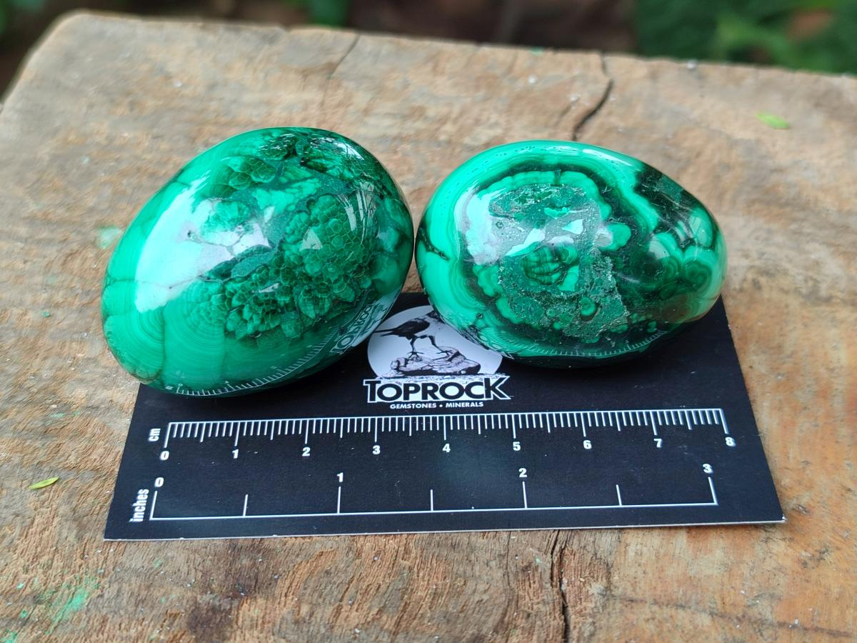 Polished Flower Banded Malachite Gemstone Eggs x 12 From Congo