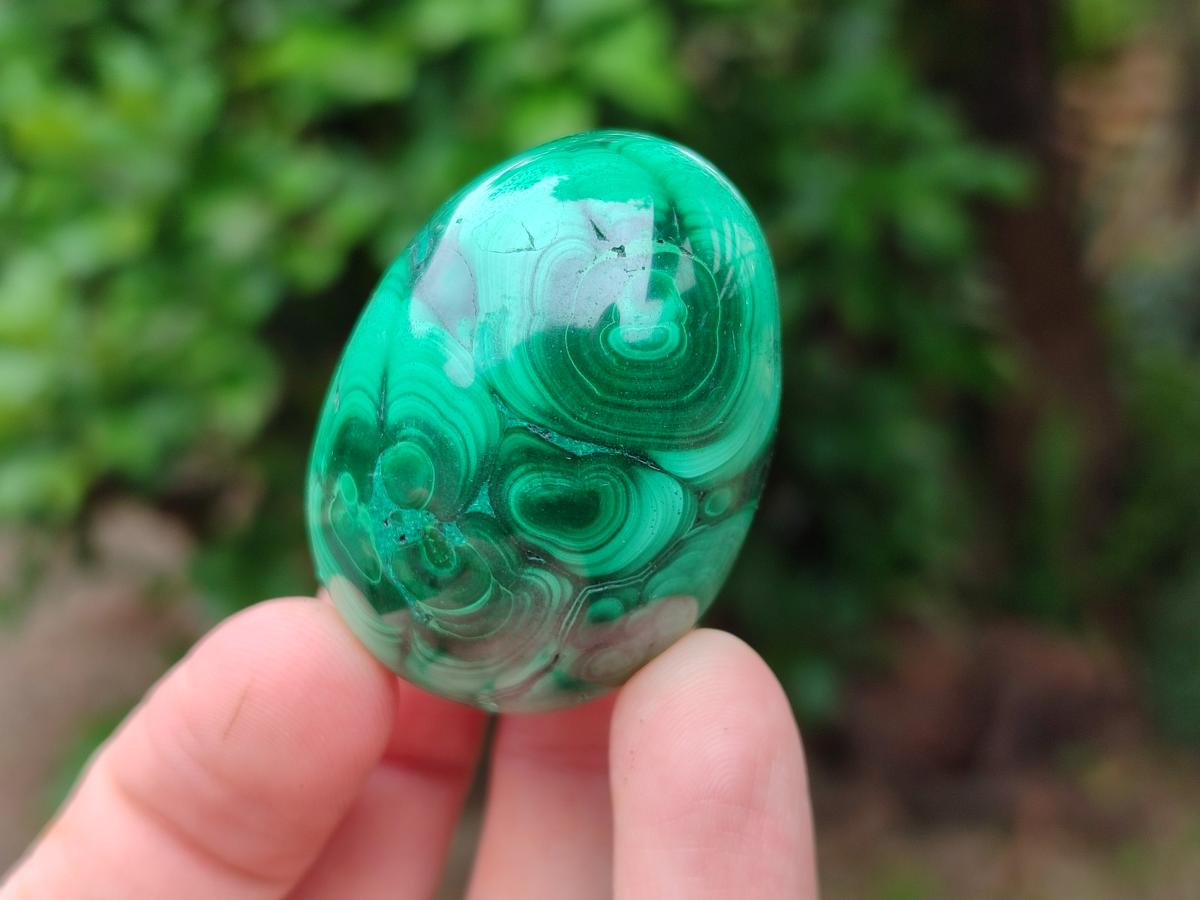 Polished Flower Banded Malachite Gemstone Eggs x 12 From Congo