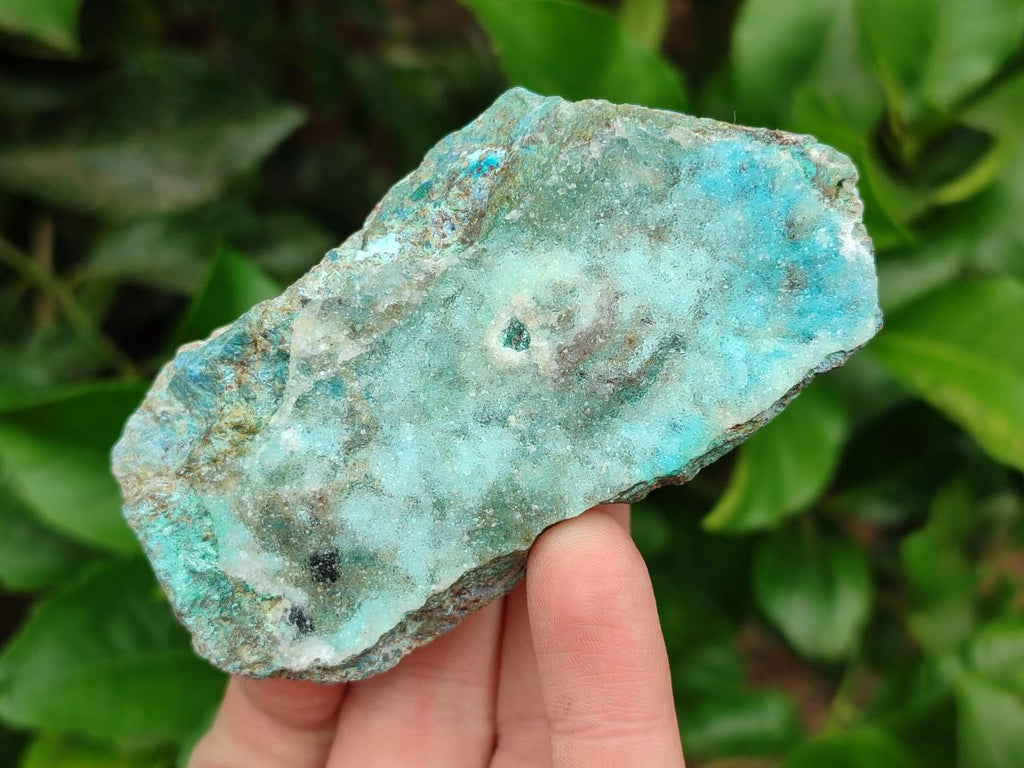 Natural Drusy Coated Chrysocolla with Malachite Specimens x 6 From Lupoto Mine, Congo