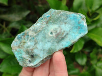 Natural Drusy Coated Chrysocolla with Malachite Specimens x 6 From Lupoto Mine, Congo