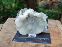 Natural Drusy Coated Chrysocolla with Malachite Specimens x 6 From Lupoto Mine, Congo