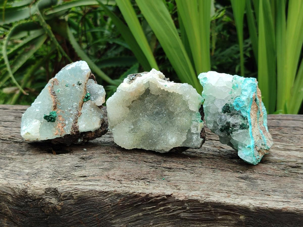 Natural Drusy Coated Chrysocolla with Malachite Specimens x 6 From Lupoto Mine, Congo