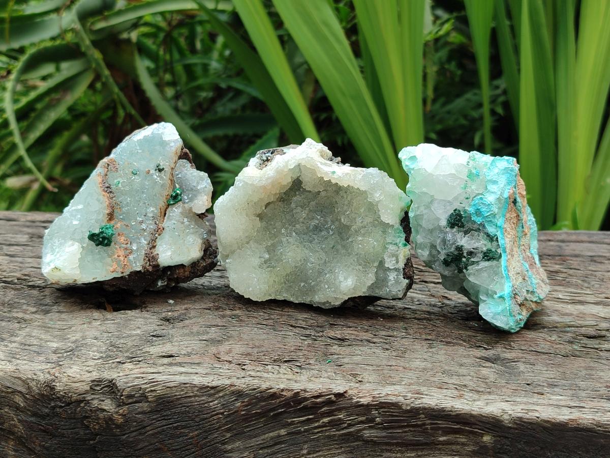 Natural Drusy Coated Chrysocolla with Malachite Specimens x 6 From Lupoto Mine, Congo