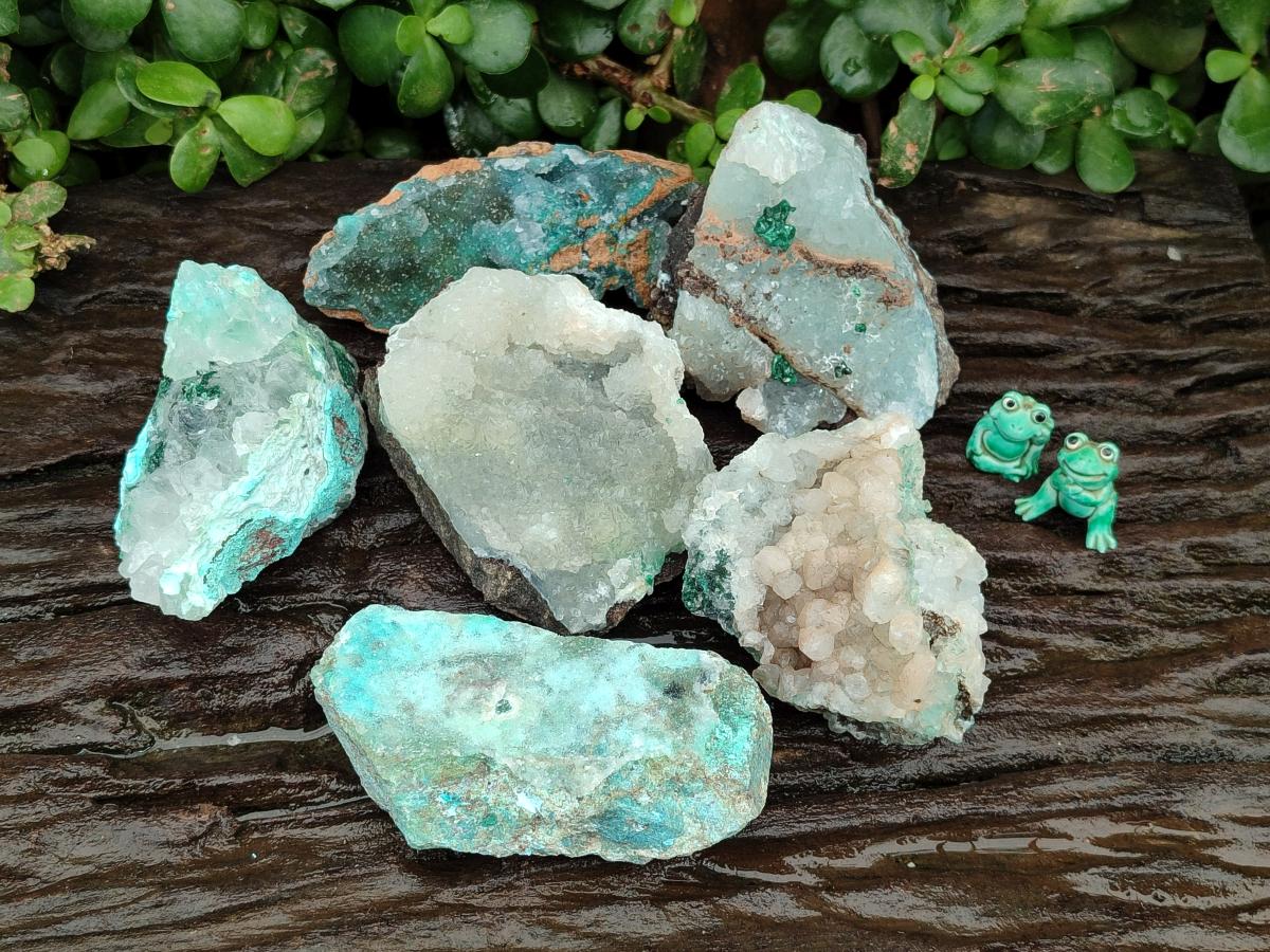Natural Drusy Coated Chrysocolla with Malachite Specimens x 6 From Lupoto Mine, Congo
