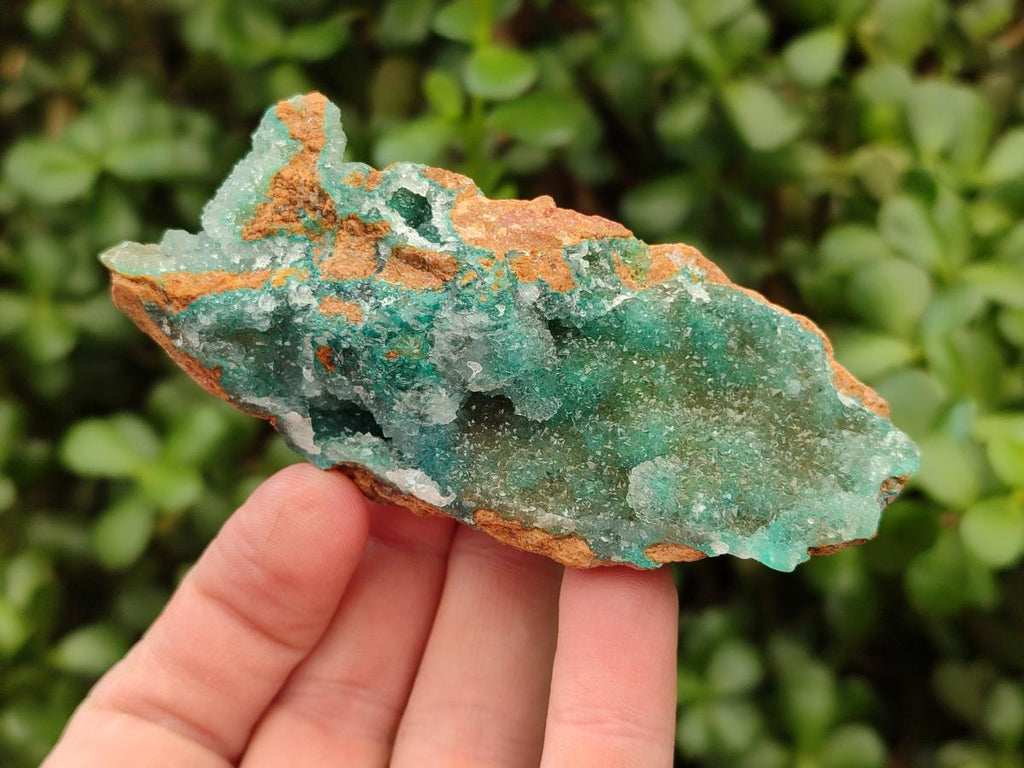 Natural Drusy Coated Chrysocolla with Malachite Specimens x 6 From Lupoto Mine, Congo