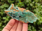 Natural Drusy Coated Chrysocolla with Malachite Specimens x 6 From Lupoto Mine, Congo
