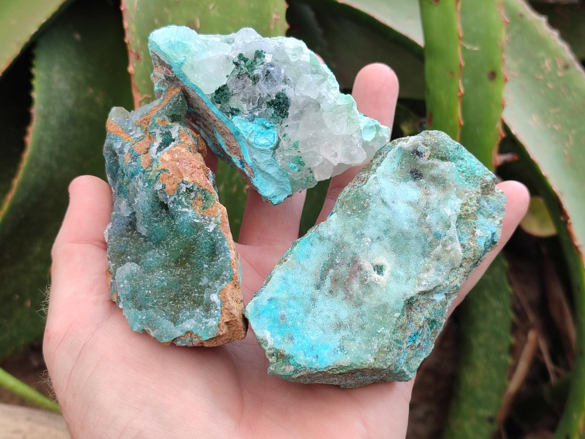 Natural Drusy Coated Chrysocolla with Malachite Specimens x 6 From Lupoto Mine, Congo