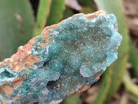Natural Drusy Coated Chrysocolla with Malachite Specimens x 6 From Lupoto Mine, Congo