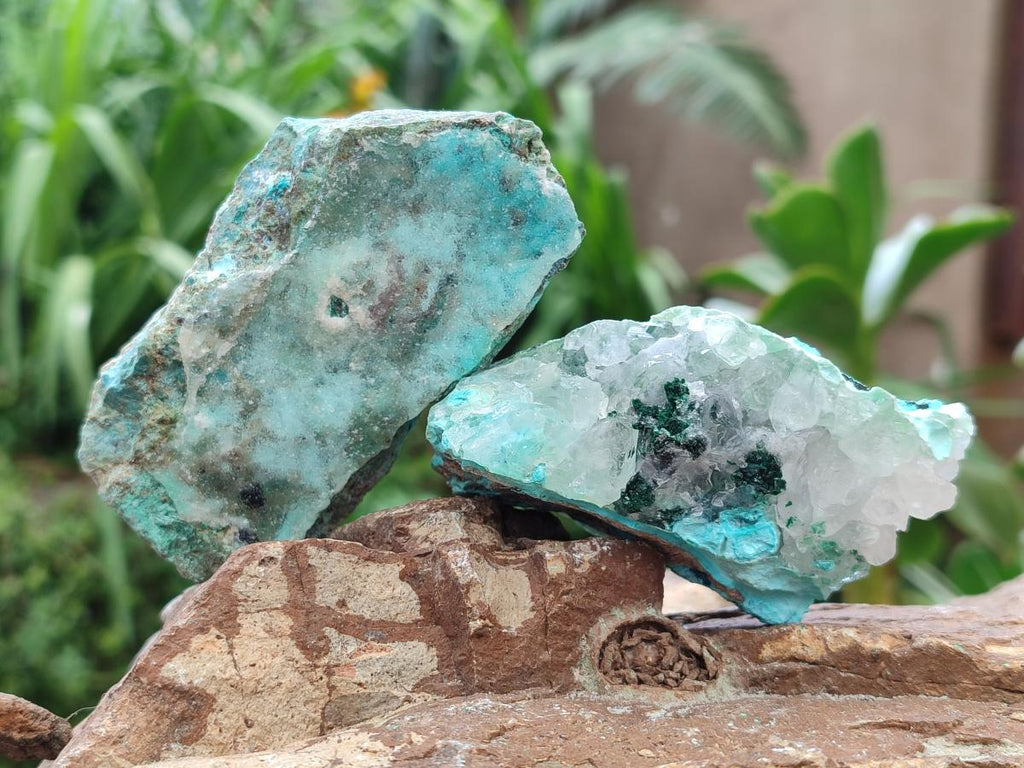 Natural Drusy Coated Chrysocolla with Malachite Specimens x 6 From Lupoto Mine, Congo