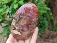 Polished Red Podocarpus Petrified Wood Standing Free Forms x 3 From Mahajanga, Madagascar