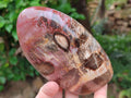 Polished Red Podocarpus Petrified Wood Standing Free Forms x 3 From Mahajanga, Madagascar