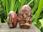 Polished Red Podocarpus Petrified Wood Standing Free Forms x 3 From Mahajanga, Madagascar