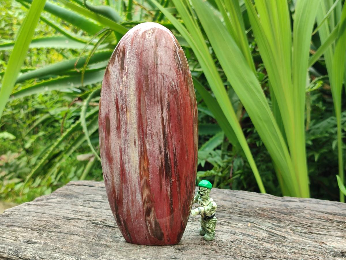 Polished Red Podocarpus Petrified Wood Standing Free Forms x 3 From Mahajanga, Madagascar
