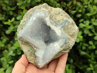 Natural Blue Lace Agate Geode Specimens x 2 From Nsanje, Malawi