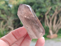 Polished Smokey Quartz Crystals x 12 From Madagascar