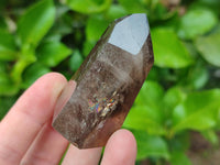 Polished Smokey Quartz Crystals x 12 From Madagascar