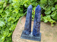 Polished Sodalite Display Crystals x 4 From Kunene River, Namibia