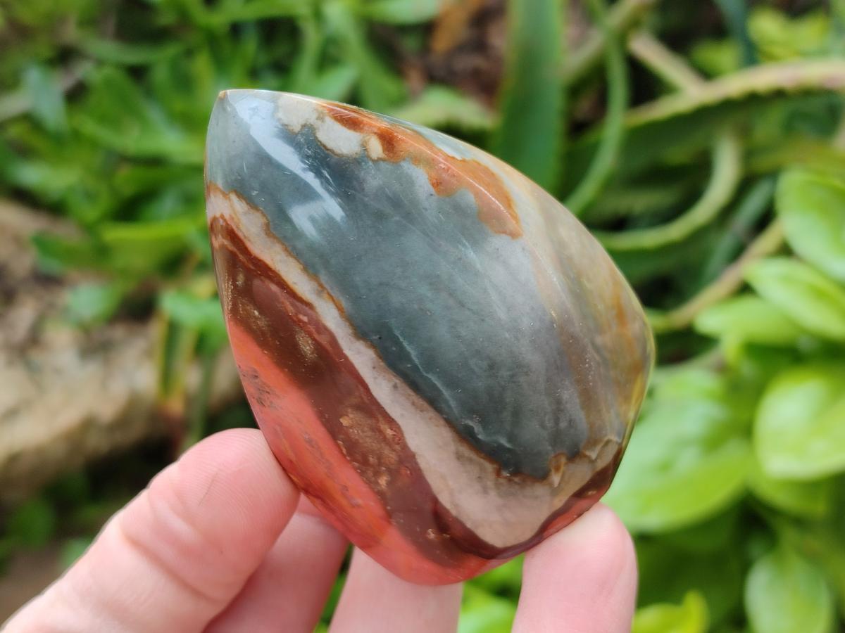 Polished Polychrome Jasper Flames x 12 From NW Coast, Madagascar