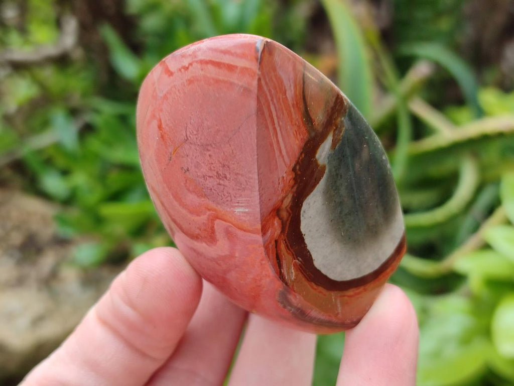Polished Polychrome Jasper Flames x 12 From NW Coast, Madagascar