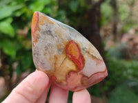 Polished Polychrome Jasper Flames x 12 From NW Coast, Madagascar
