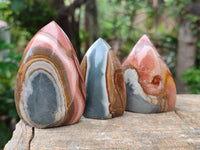 Polished Polychrome Jasper Flames x 12 From NW Coast, Madagascar