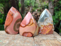 Polished Polychrome Jasper Flames x 12 From NW Coast, Madagascar