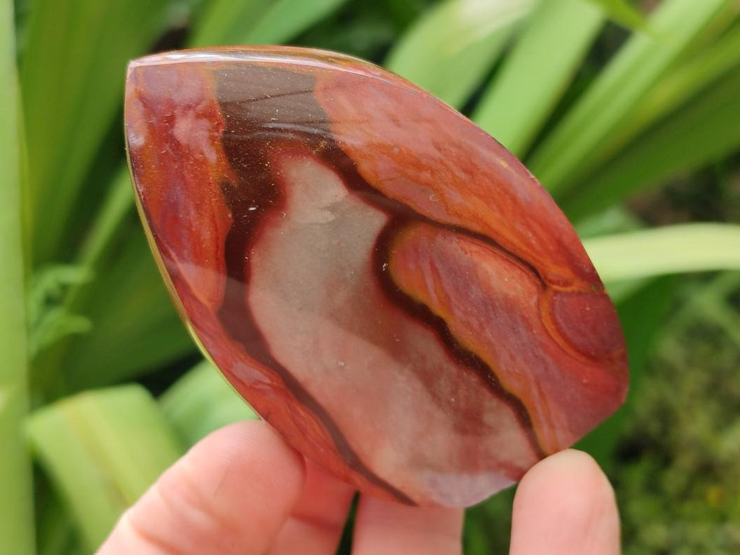 Polished Polychrome Jasper Flames x 12 From NW Coast, Madagascar
