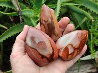 Polished Polychrome Jasper Flames x 12 From NW Coast, Madagascar